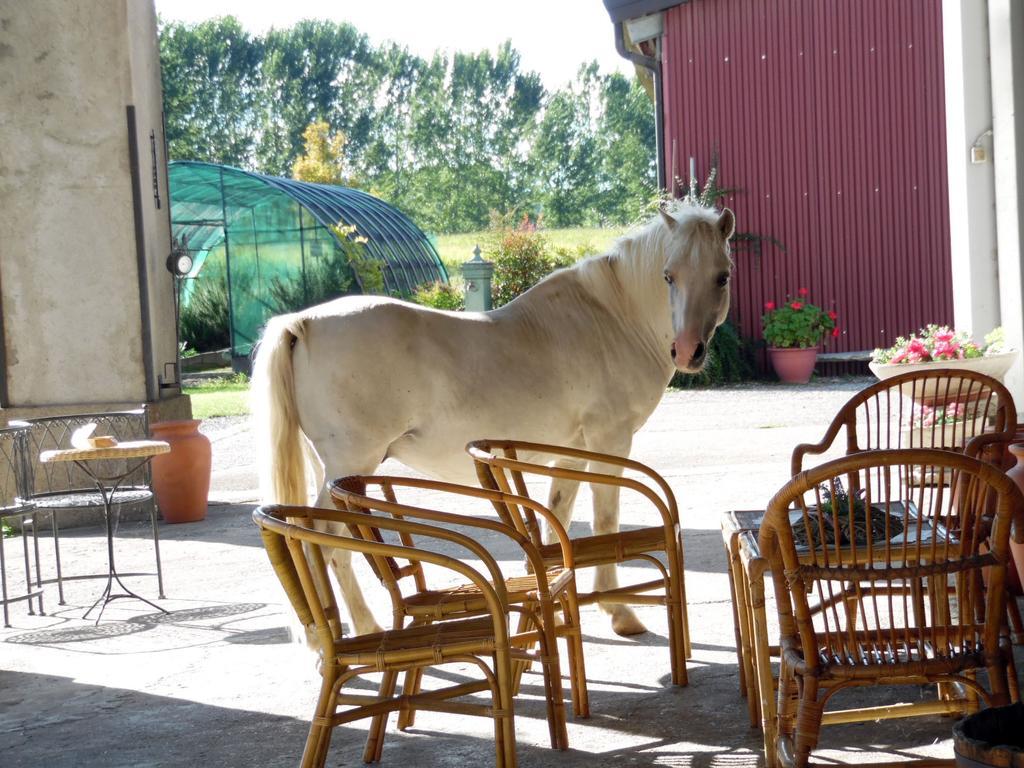 Bed And Breakfast Azienda Agricola Cascina Salazzara Magenta Dış mekan fotoğraf